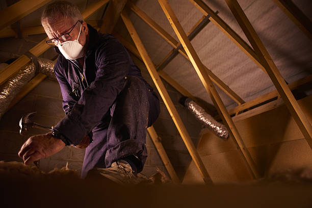 Best Specialized Insulation Services in Canastota, NY