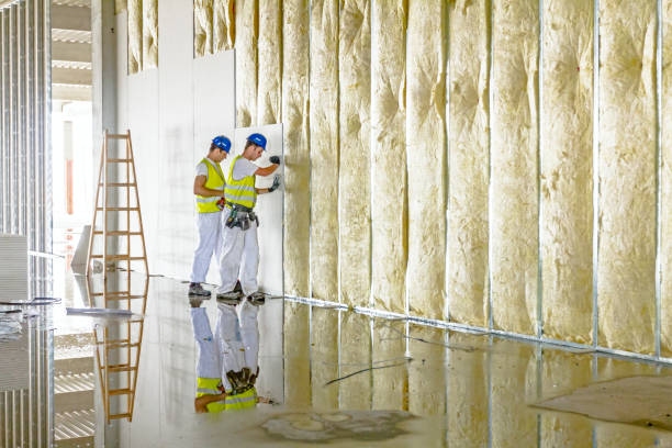Best Residential Insulation in Canastota, NY